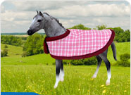 Happy Horses Range