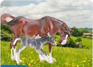 Breyer Rare & Discontinued