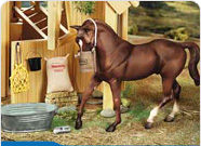 Breyer Special Offers