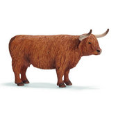 Farm Animals