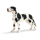 Dogs