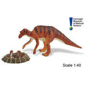 Safari - Carnegie Dinosaurs