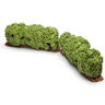 View Item Schleich 30659 Hedge