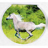 View Item Horse Mini Memo Notepad - Lipizzaner