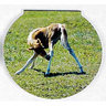 View Item Horse Mini Memo Notepad - Foal