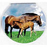 View Item Horse Mini Memo Notepad - Mare & Foal