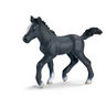 View Item Schleich 13294 Lipizzaner Foal
