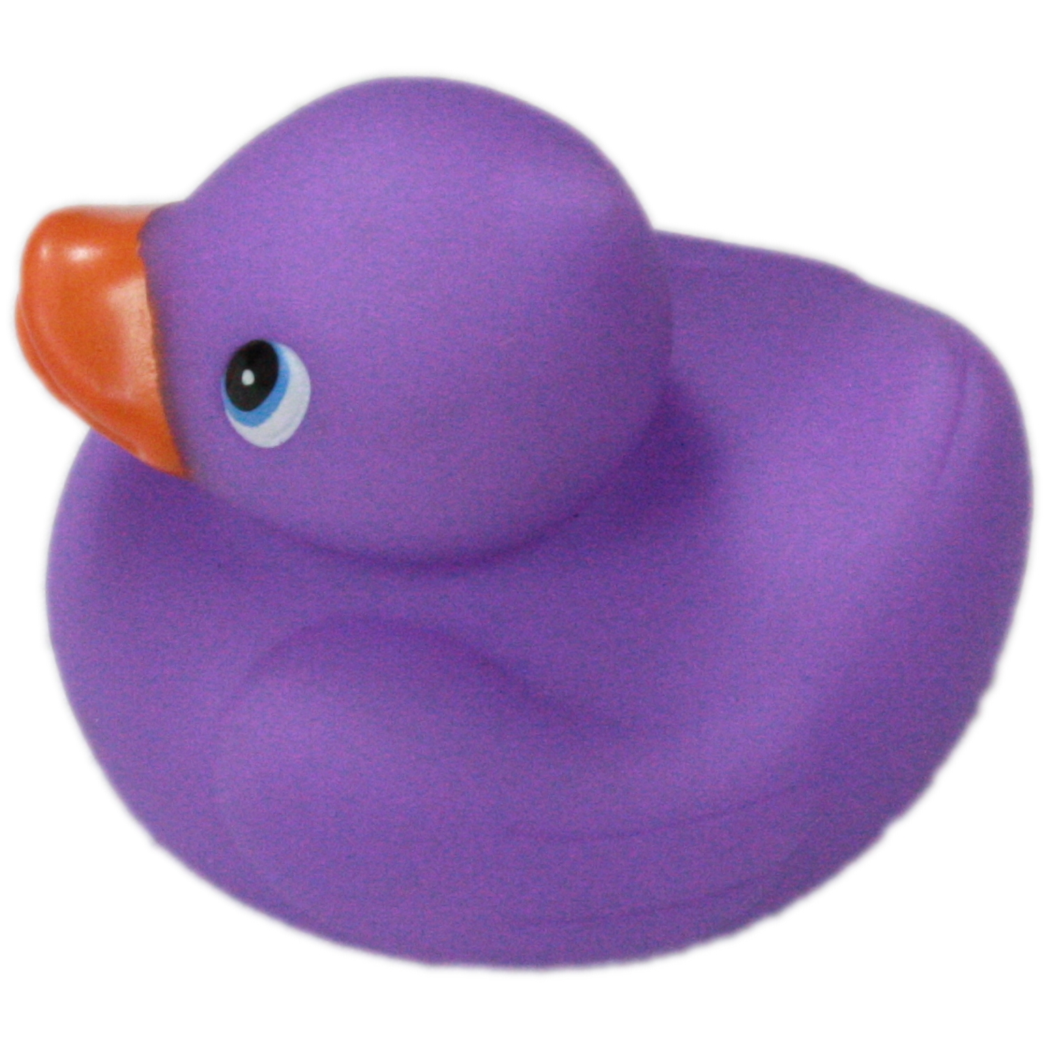 Duck poker coupon