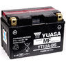 View Item Yuasa YT12A-BS Maintenance Free Battery