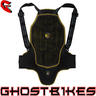 View Item Forcefield Pro L2K Back Protector