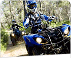 Quad Bikes