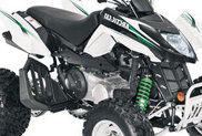 Arctic Cat 300