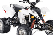 Polaris PREDATOR