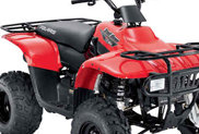 Polaris TRAIL BOSS