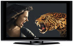 View Item Panasonic Viera TH-42PZ70 Viera 42" Full HD Plasma TV with Freeview
