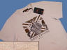 View Item New Ben Sherman Suited & Booted Mod T Shirt Off White