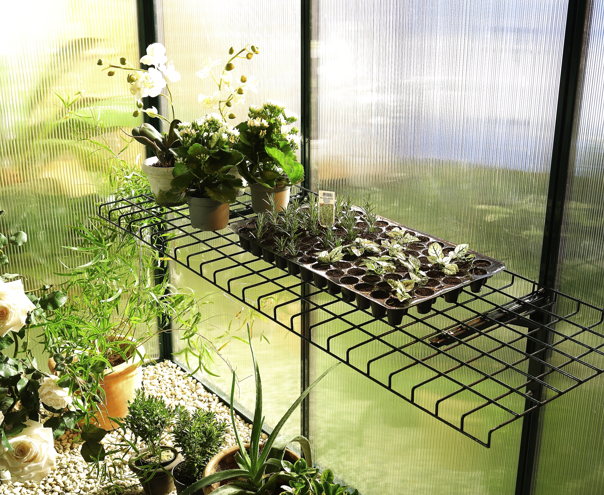 TITAN 16" Folddown Greenhouse Shelf eBay