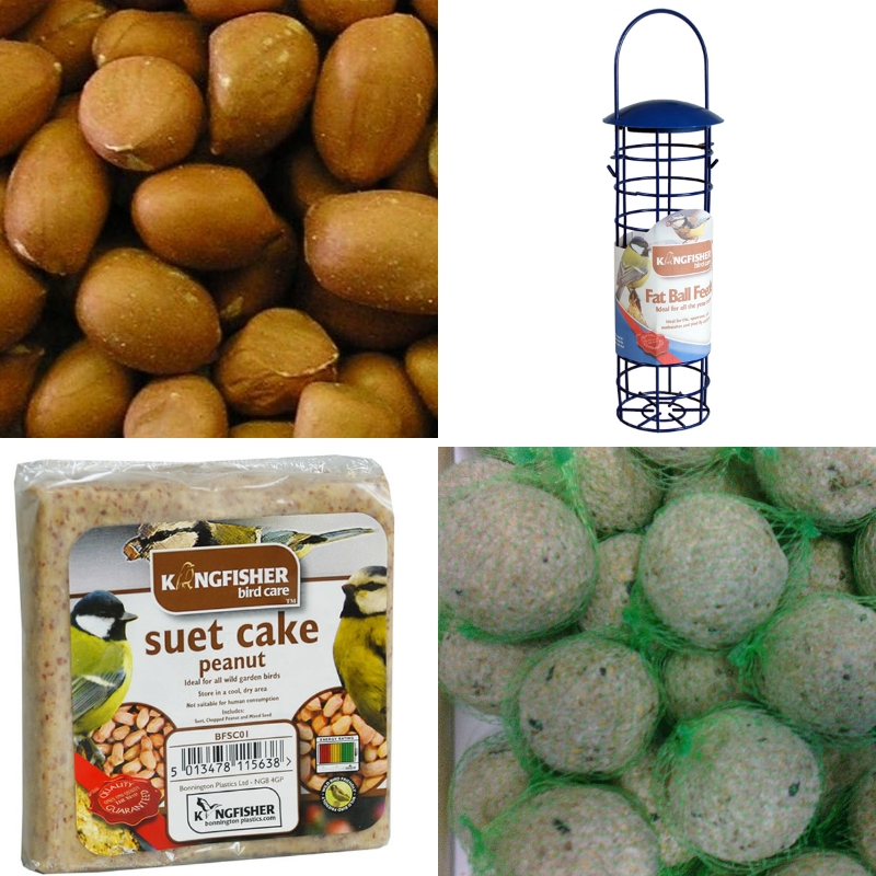 wild bird food nuts seeds fat balls suet cakes bird wild bird food nuts seeds fat balls suet cakes bird
