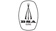 BSA