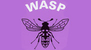 Wasp