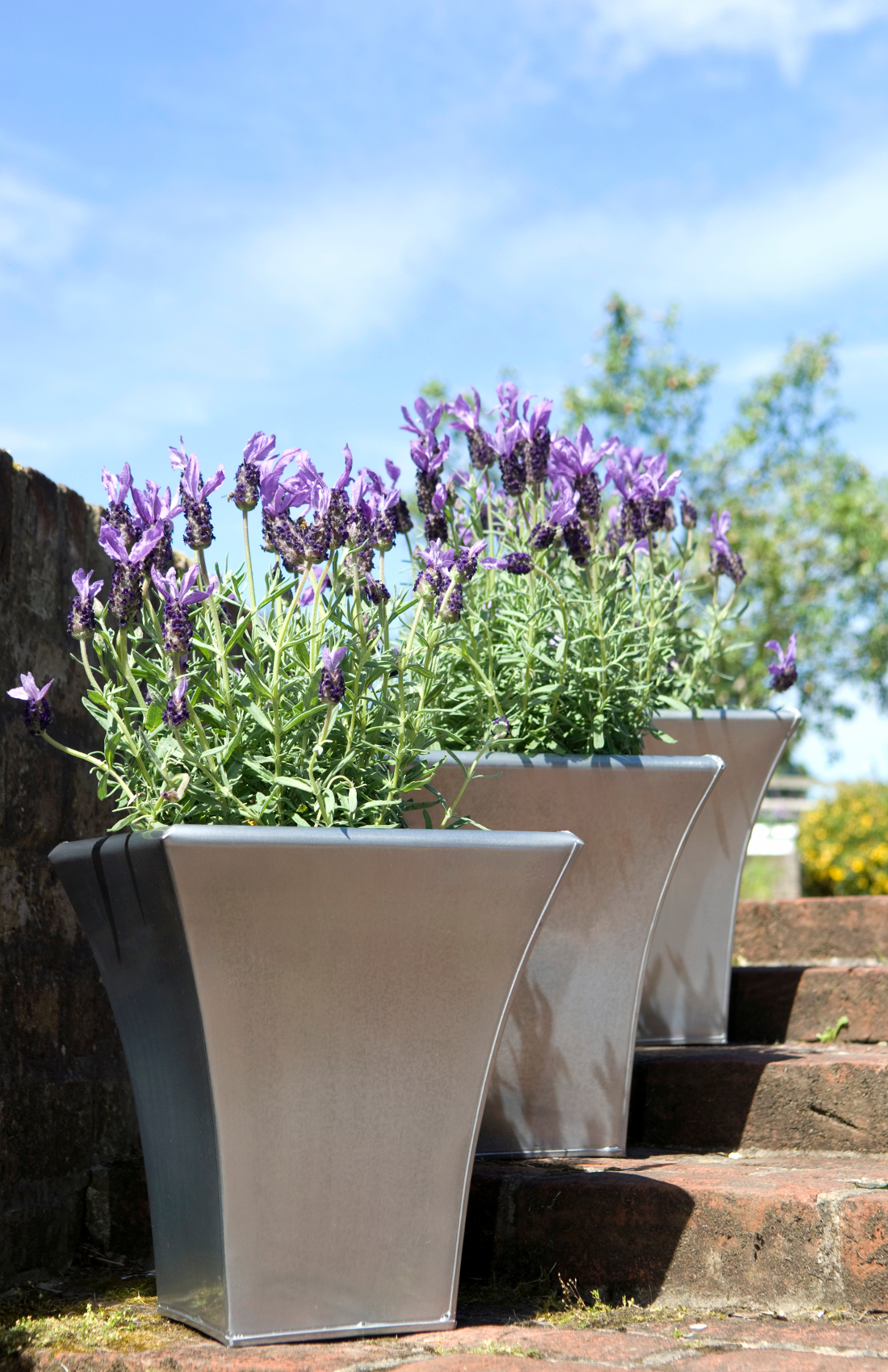 Flower Plant Pot Tall Luna UV Frost Resistant Lightweight Metal Tapered