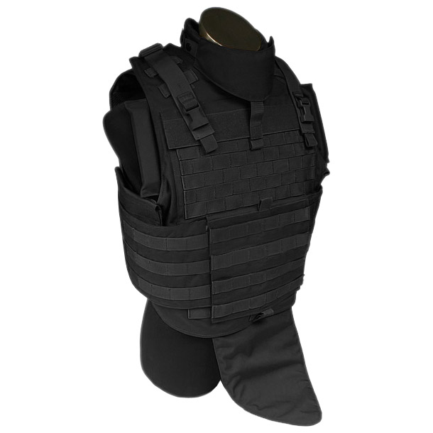 Flyye MOLLE MTV Vest Black Vests Military 1st