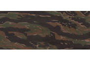 Tiger Stripe