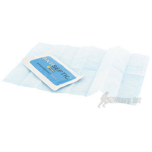 Pyramid Antiseptic Wipes x10