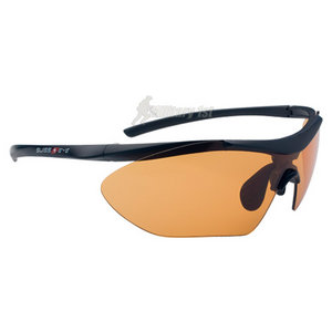 Swiss Eye Shark Glasses Black Matt Frame