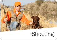 Shooting
