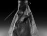 View Item MOMO Elegance Black Leather Lift Reverse Car Gear Stick Gaiter