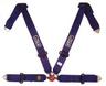 View Item Luke 2004 4 Point FIA Approved Racing Harness Left