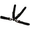 View Item Willans Club Caterham 4 Point FIA Approved Racing Harness Right