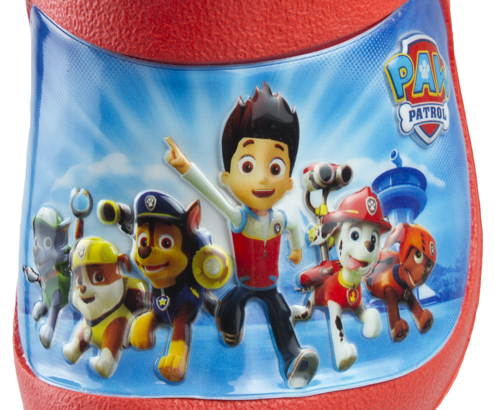 paw patrol beach shoes