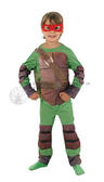 View Item Child Deluxe Teenage Mutant Ninja Turtle TMNT Fancy Dress Kids Costume + 4 Masks
