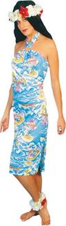 View Item Adult Hawaiian Dress Fancy Dress Costume Ladies Womens Female