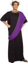 View Item Adult Dionysus Fancy Dress Greek Costume (Standard)