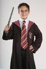 View Item Officially Licensed Authentic Harry Potter Hogwarts Wizard School Tie Book Week