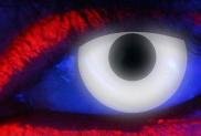 Contact Lenses