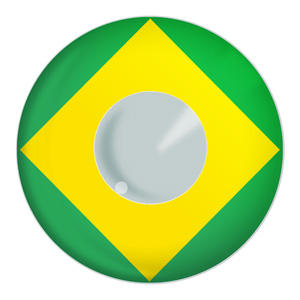 brazilian flag dress