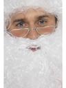 View Item Adult Santa Half Moon Specs Fancy Dress Facewear