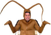 Animal & Insects