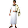 View Item Adult Large Ancient Greek Toga Grecian God Ceasar Fancy Dress Costume Mens Gents