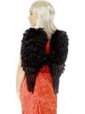 View Item XL Black Gothic Feather Dark Angel Wings Fancy Dress Costume Accessory