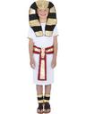 View Item Child  Egyptian Fancy Dress Pharaoh Costume
