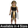 View Item Adult Egyptian King Pharaoh Royal Tutankhamun Fancy Dress Costume Mens Gents