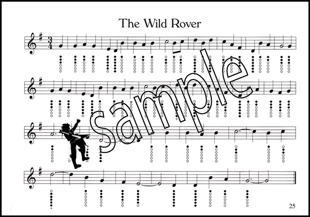 Irish Whistle Book Tin Whistle Music Book Ebay