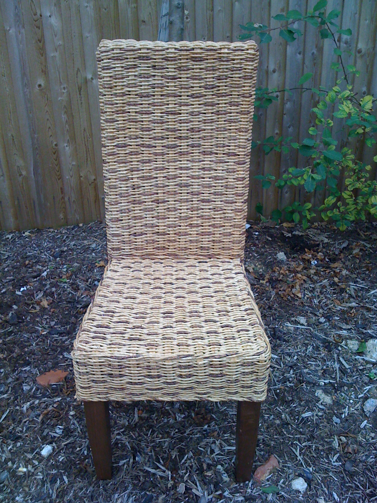 wicker and cane chairs