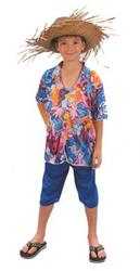 View Item Boys Hawaiian Tourist Costume
