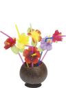 View Item Hawaiian Inspired Multicoloured Flower Straws
